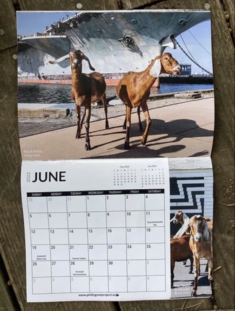 BlocDelivery_'s tweet photo. You can stop searching for the perfect holiday gift because WE’VE GOT IT! 🎁🐐🎁🐐🎁 🐐 Starting today, 2022 @phillygoatproject calendars are available on Bloc! 🗓⁣⁣ https://t.co/Xu1uCukvlG
