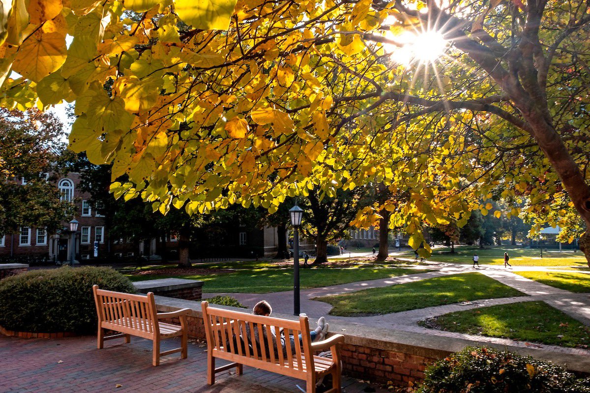 carolina_giving's tweet photo. Fall leaves and campus scenes 📸 🍁 https://t.co/GTvwa3w1Y2