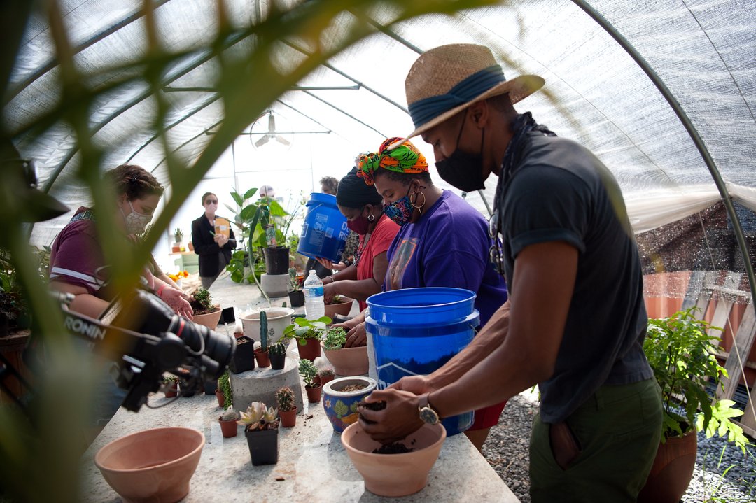 Into the greenhouse of @pathosbotanicals we go to explore plants for public space design. Workshop attendees were able to use their creative skills to design their own terrarium. 

Photo courtesy of @bloombergdotorg and <a href="/rorydoylephoto/">Rory Doyle</a>
#shoplocal #supportlocal #publicart #communi