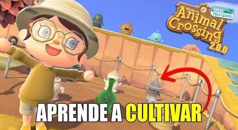 PamerysTargamer's tweet photo. ✨Todo sobre los GIROIDES✨

Nuevo vídeo sobre la obtención de Giroides y como cultivarlos, para así hacerse con todos! Además os cuento unas cuantas curiosidades 🥰

Espero que os ayude! 🤍 #ACNH 

https://t.co/8cp210vawE https://t.co/qI8VfNrnQT