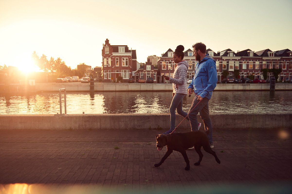 <a href="/eRoutes_com/">eRoutes</a>: een interessante app voor #wandelaars, maar ook een schatkist vol voetgangersdata. 🚶‍♂️🚶‍♀️  “Je kunt zien hoeveel mensen actief zijn geweest op een bepaald moment en bepaalde plek. Al die #data kunnen we teruggeven aan beleidsmakers.” #CityDeal

bit.ly/eRoutes