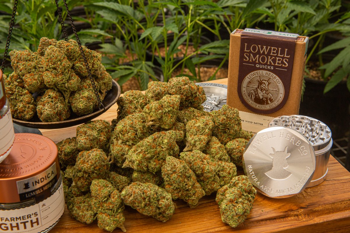 LowellFarms's tweet photo. Whether you're looking for pre-rolls, flower, or smoking accessories... #LowellDirect has got you covered! Use code NOVEM20 for 20% off your next order. 🌱 

https://t.co/OzZWsbfD76 https://t.co/p3a2bSS0Rj