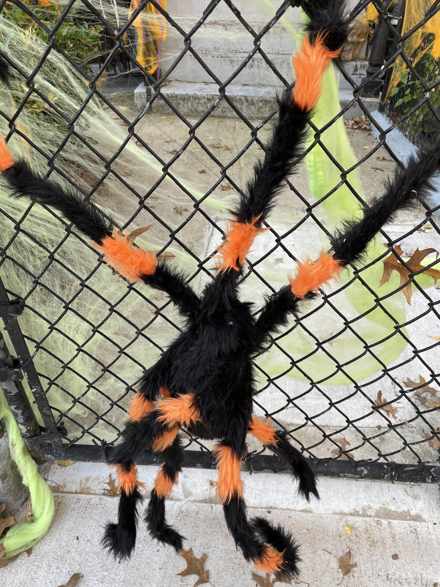 feldstej's tweet image. #fridayviews #fridayvibes s/p #halloween 🕸🕷🕸