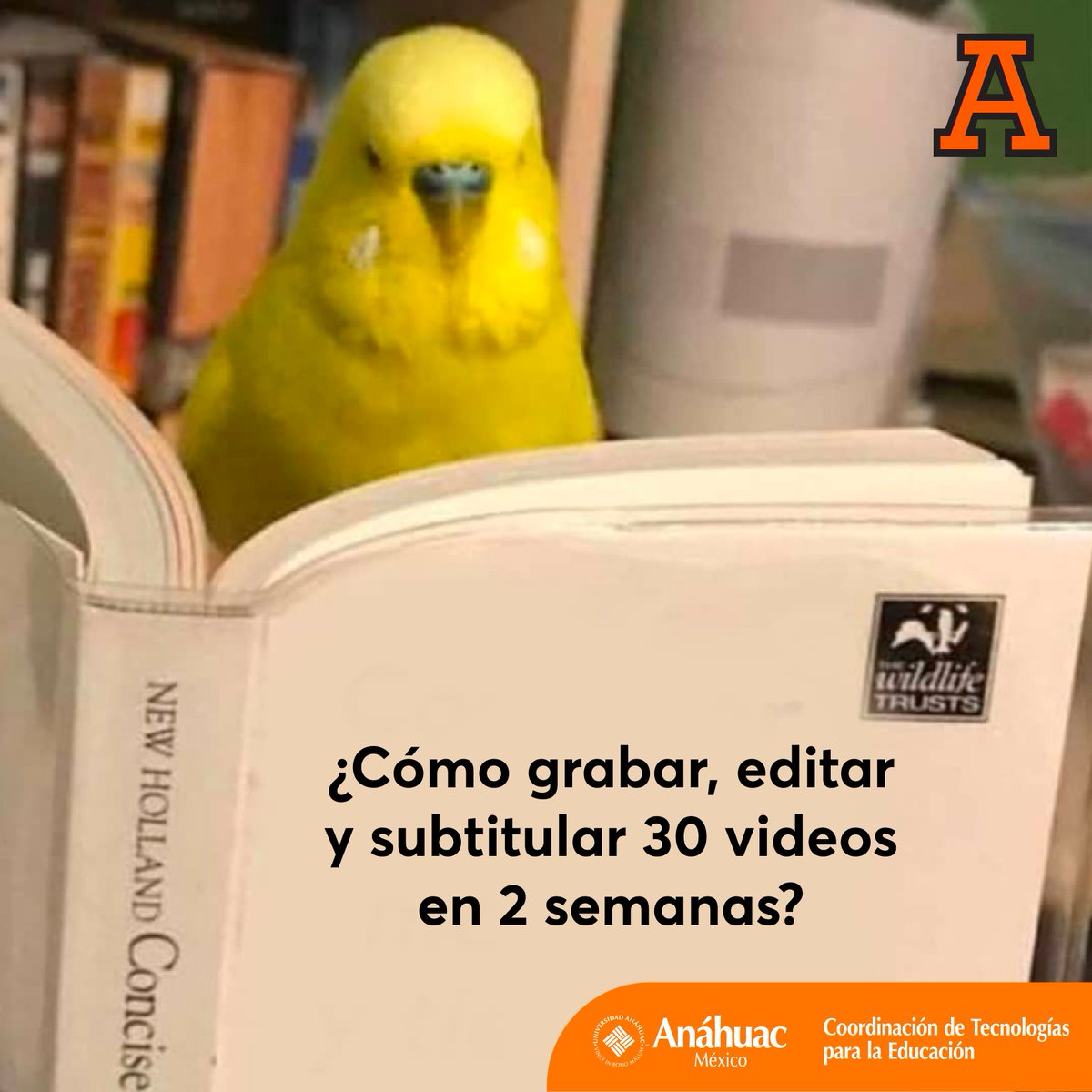 cteanahuac's tweet photo. Les dejamos los libros que la CTE está leyendo. 😂😅
¡CTE y profes trabajando en equipo! 
🌟 ✍👨‍💻👩‍💻✏️️ 📺 🖥️
#liderazgoeneducacion #Lideresdeaccionpositiva #Anáhuac #CTE #Profesores #Tecnología #examen #Profe #actitudpositiva #aprender #meme #diseñoinstruccional #profesor https://t.co/pIze7QQf7U