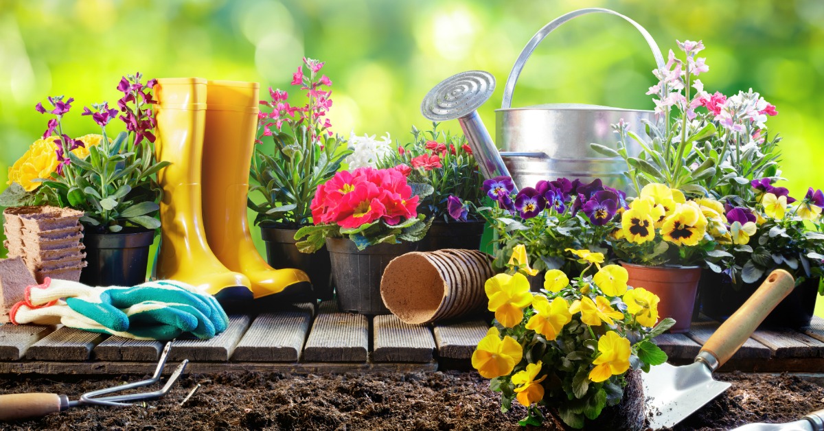 CityKitchener's tweet photo. Help us celebrate the efforts of #Kitchener residents and business owners who make the city look beautiful.

Apply to become a part of the #KitchenerInBloom committee: https://t.co/kM1DC9gSlB https://t.co/iTOTPrE8w4