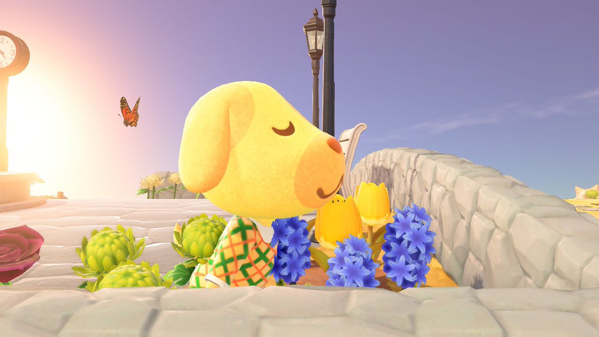 budgetgremlin's tweet photo. goldie out here taking in the fresh scenery and beautiful flowers. little does she know, she is the true beauty. 🌻🌷💛 https://t.co/G2gtkyApDi