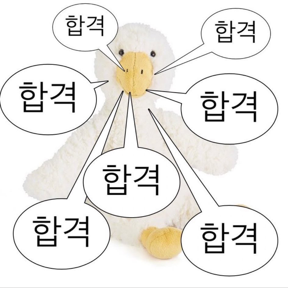 juikgom's tweet photo. ���능철 합격오리 등장 
트친들 모두 합격해 https://t.co/bTFlwTgz9B
