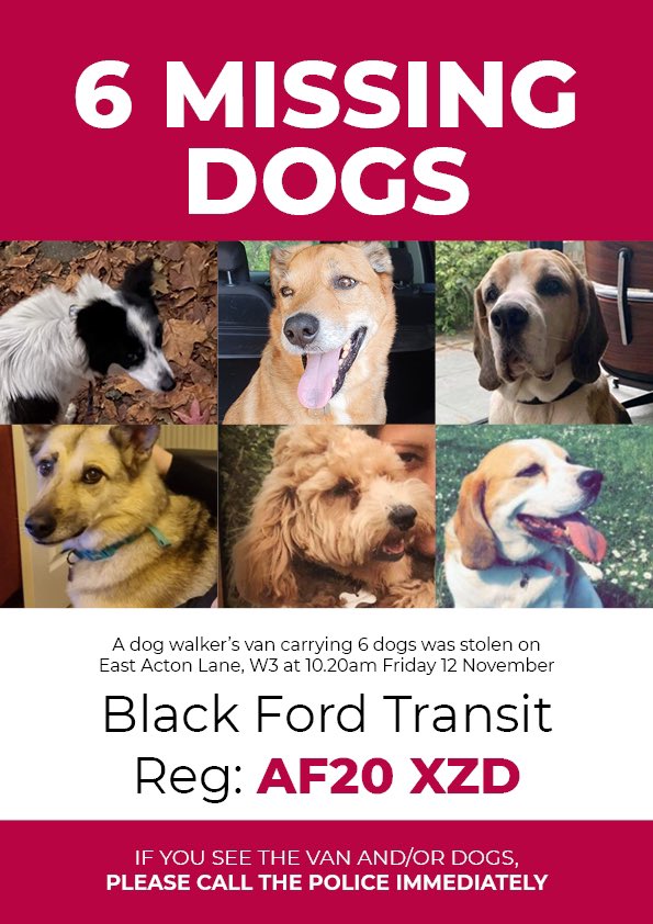 Will be appealing for help in finding Cabbage on <a href="/itvlondon/">ITV London</a> at around 6.12