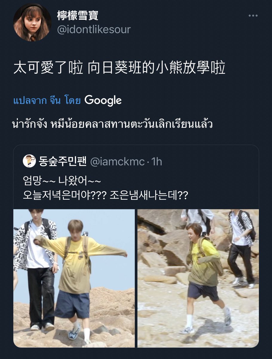 555555555 มองแฮชานเหมือนกันทุกประเทศจริง หมีเร้กจะครองโลก!🐻✨