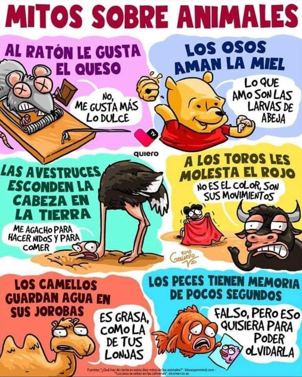 chistesbiologia's tweet image. 