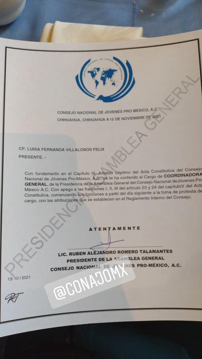 Fer Villalobos tweet media