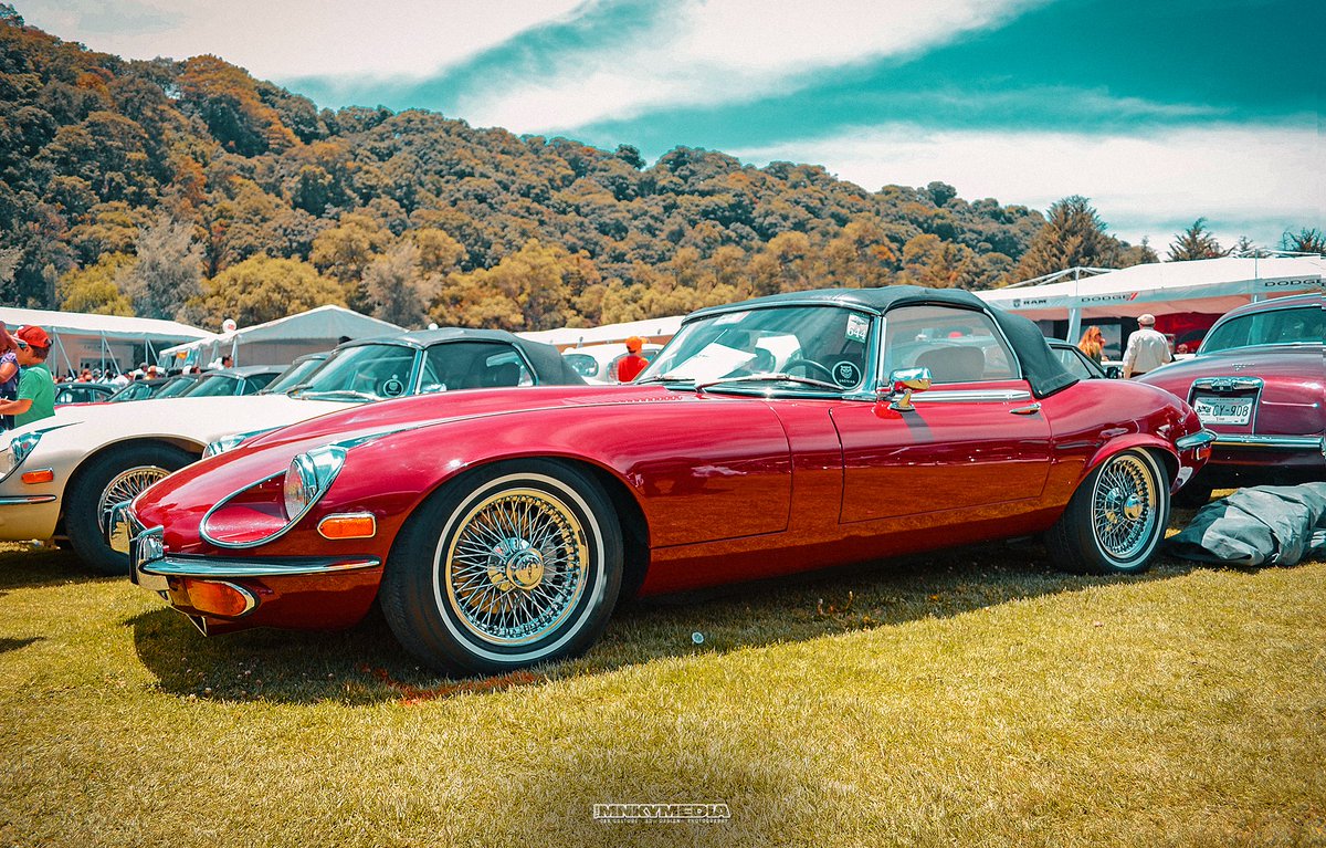 Jaguar E-type...📸 Drivers Nation... 📸
#oldiscool
#loviejoeschido
#theMNKYmedia
#jaguaretype
#fucktheeuro