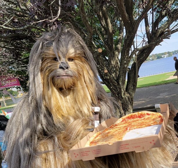 DevaronBaseRL's tweet image. Who knew that pizza was a favorite on Kashyyyk! 🍕

@rebellegion @RL_DockingBay94 

#rebellegion #devaronbaserl #rldockingbay94 #DB94 #Chewbacca #pizzatime #starwarscostuming