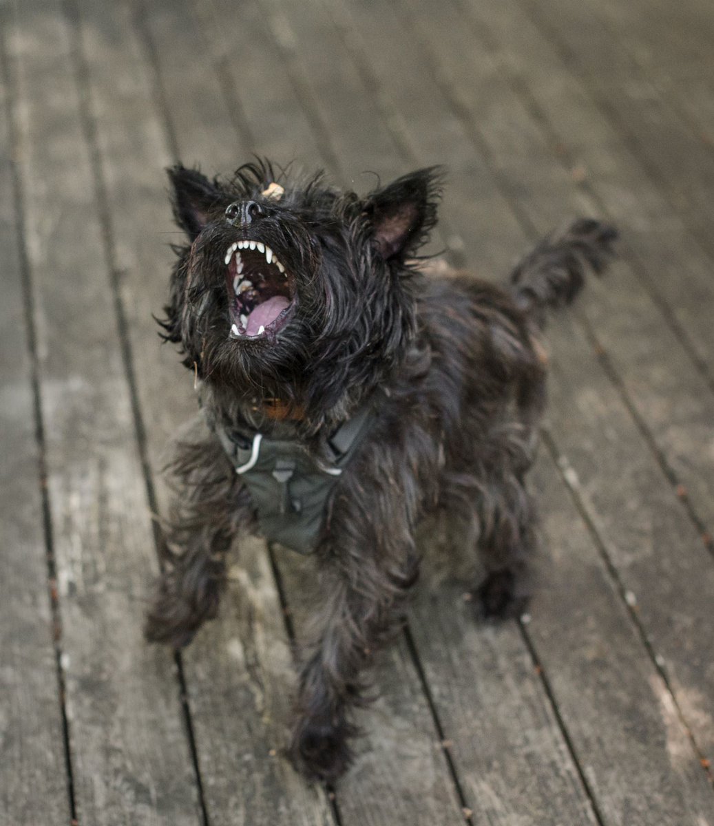 How it started vs how it's going 🤦‍♀️