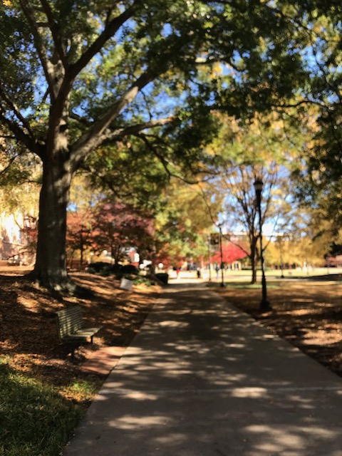 ceppbcoe's tweet photo. Campus fall colors https://t.co/LGn6aNqJup
