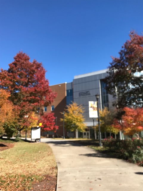 ceppbcoe's tweet photo. Campus fall colors https://t.co/LGn6aNqJup