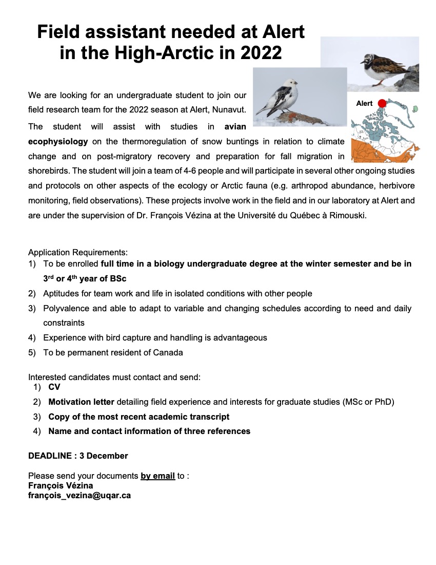 VezinaLab's tweet image. We are looking for a field assistant to work with us at Alert next summer. Very interesting projects on recovery and preparation for migration in shorebirds and overheating snow buntings! Please spread the news! @UQAR @VezinaLab @ArcticScope