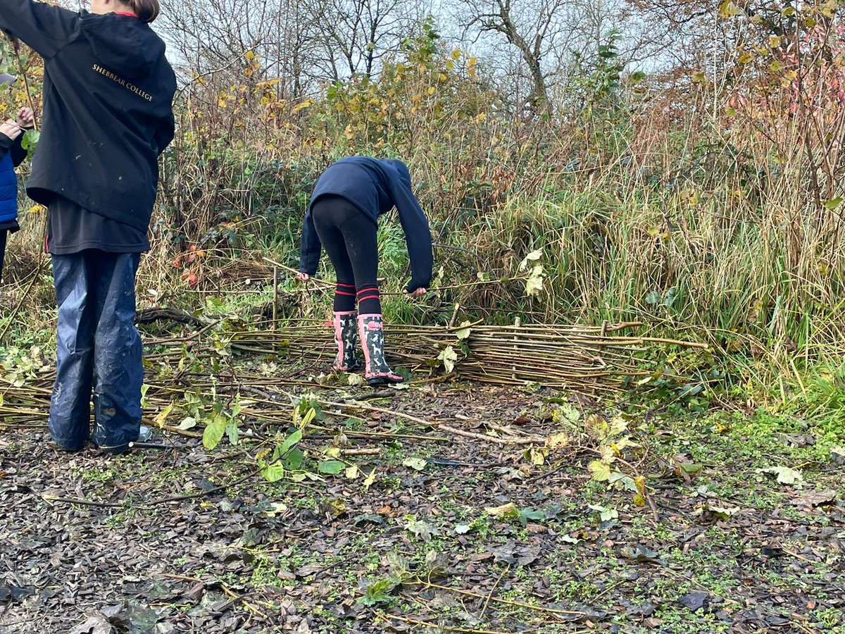 ShebbearSandOE's tweet photo. Our #ShebbearOutdoorEducation students have been making some exceptionally Creative things by wattling coppiced wood from our grounds. Still more to do in our next 2 hour session! #ShebbearCuriosity #ShebbearCreativity https://t.co/wntjQ6RCTf