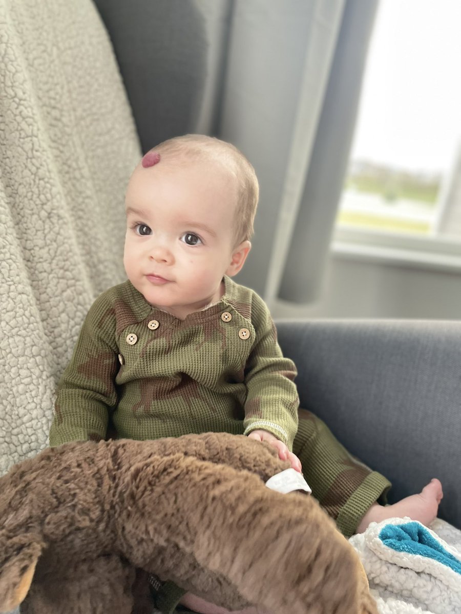 cknorrart's tweet photo. Eight month old baby. ❤️ https://t.co/R9SkihLVjv