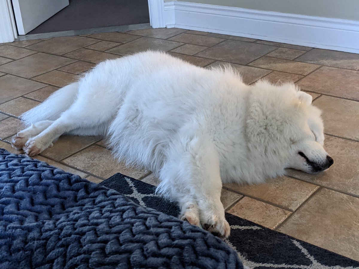 theautman's tweet photo. Same. https://t.co/CWaZQY5Stu