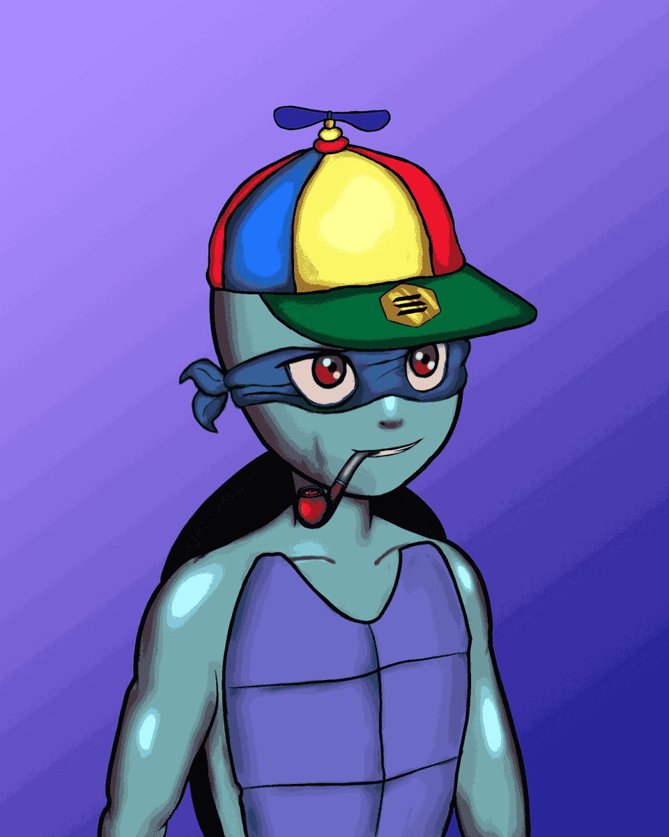 procyonalien's tweet photo. Solturtle #Solana #NFTs #nftcollector #SolTurtle #SolanaNFT  #turtle https://t.co/HV8ClGMm07