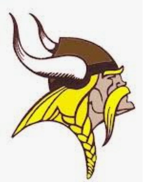 CS Viking Wrestling tweet media