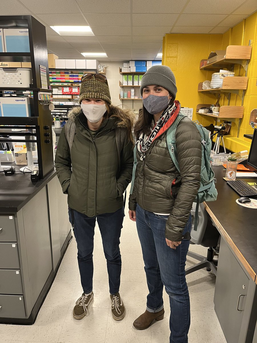 fischer lab tweet media