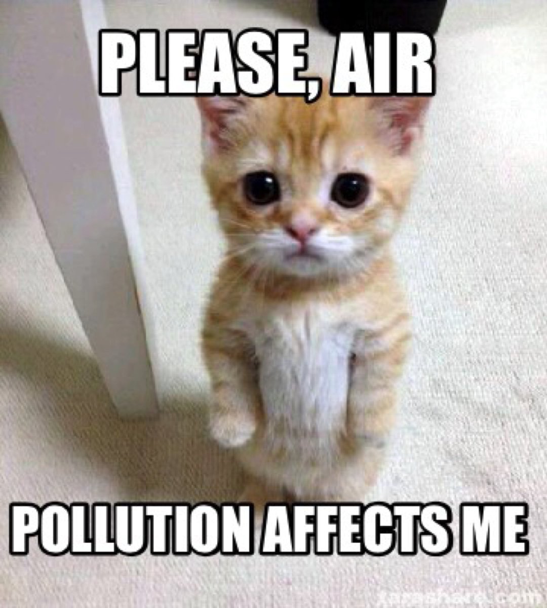 #stopairpollution #pollution #savetheplanet #earthfirst #ClimateAction #ClimateCrisis #ClimateEmergency