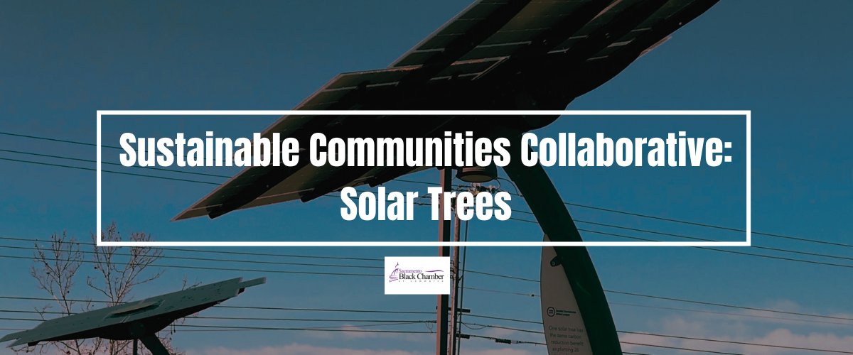 SacBlackChamber's tweet image. The Solar Trees Project is an ongoing community project with our sponsoring partners at SMUD and the Baker Energy Team. To date, four trees have been installed on two sites, with a third site currently in development. Find out more:

sacblackchamber.org/sustainable-co…

#solartrees #energy