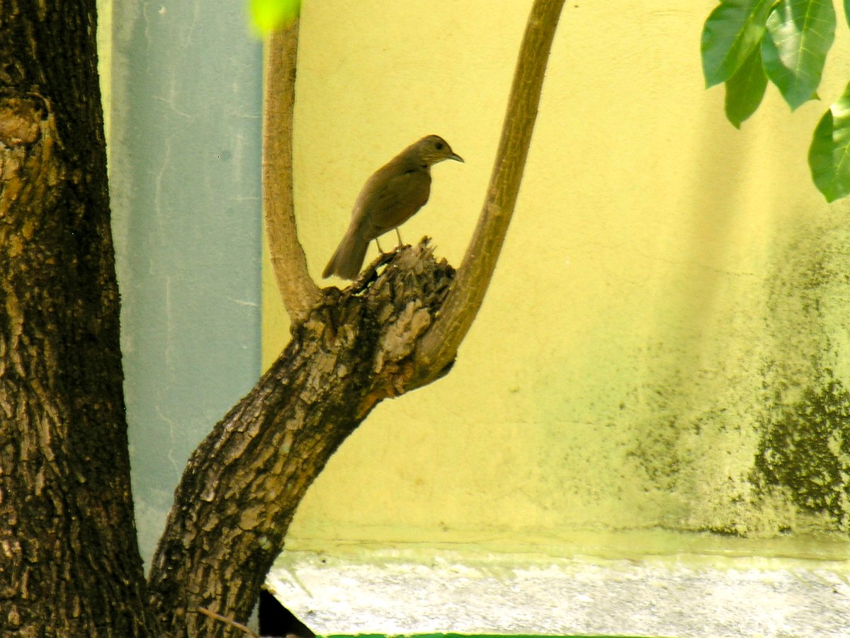 Labienews's tweet image. 