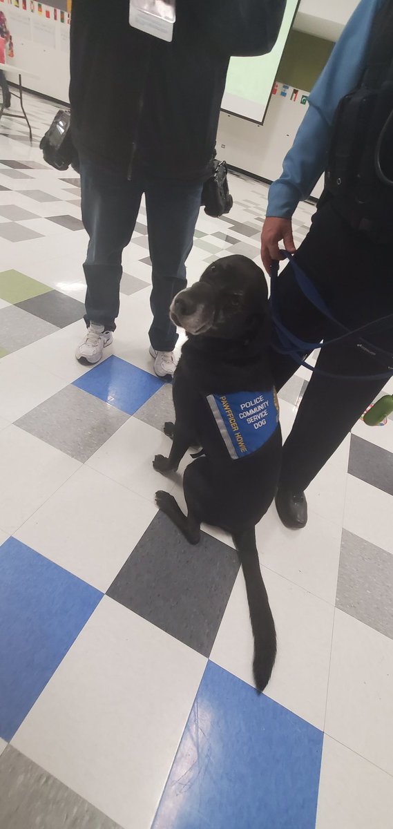 Theresa_Chapple's tweet photo. movie, stickers, lollypops, comfort dog, and friendly vaccinators.  
All the makings of a low stress pediatric COVID-19 vaccination clinics https://t.co/GyZnbLFJVj