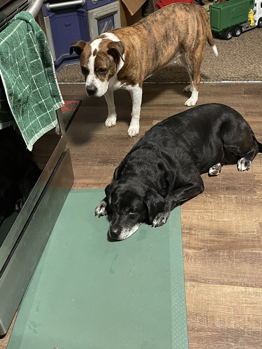 Opportunists. #dropthefoodsmama