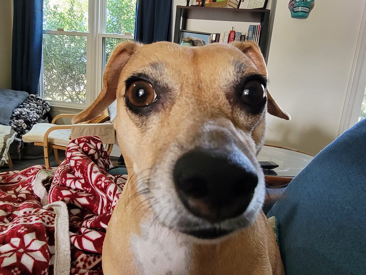 Sonsoru's tweet image. 