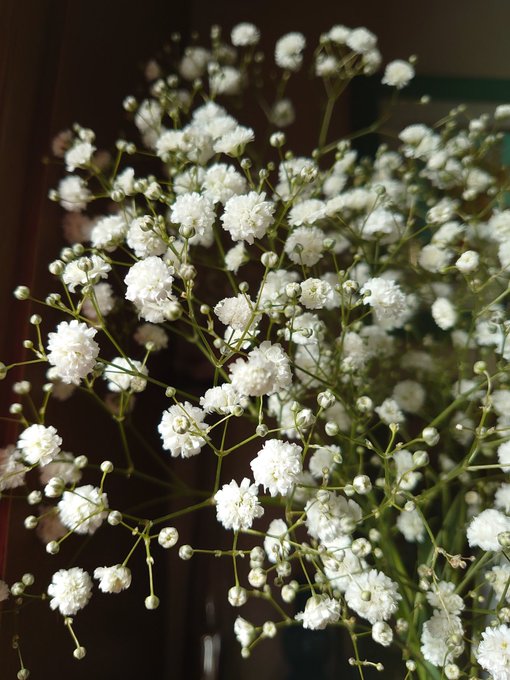 Smap 高画質 のtwitterイラスト検索結果 古い順