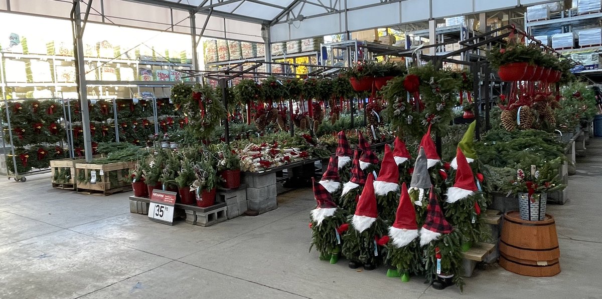 Jenilin Faust tweet media