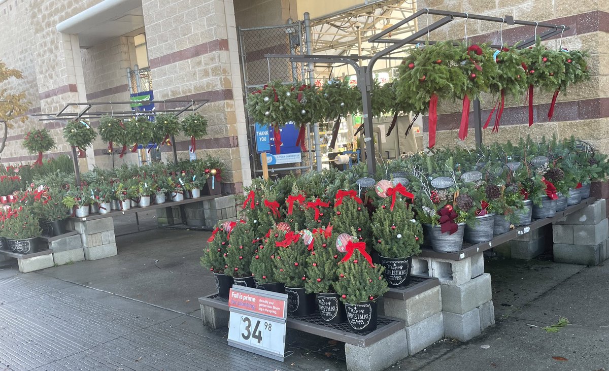 @lowes Princeton NJ #1185 has all the Xmas product you need! #kissingballs #wreaths #poinsettias #tabletoptrees #Xmastrees & much more! Ty @Allison_B23 & #plantpartners team for making such great displays! #1185 Ty for the #partnership!! @church1230md @MikeAlicea1185 @LBishPlants