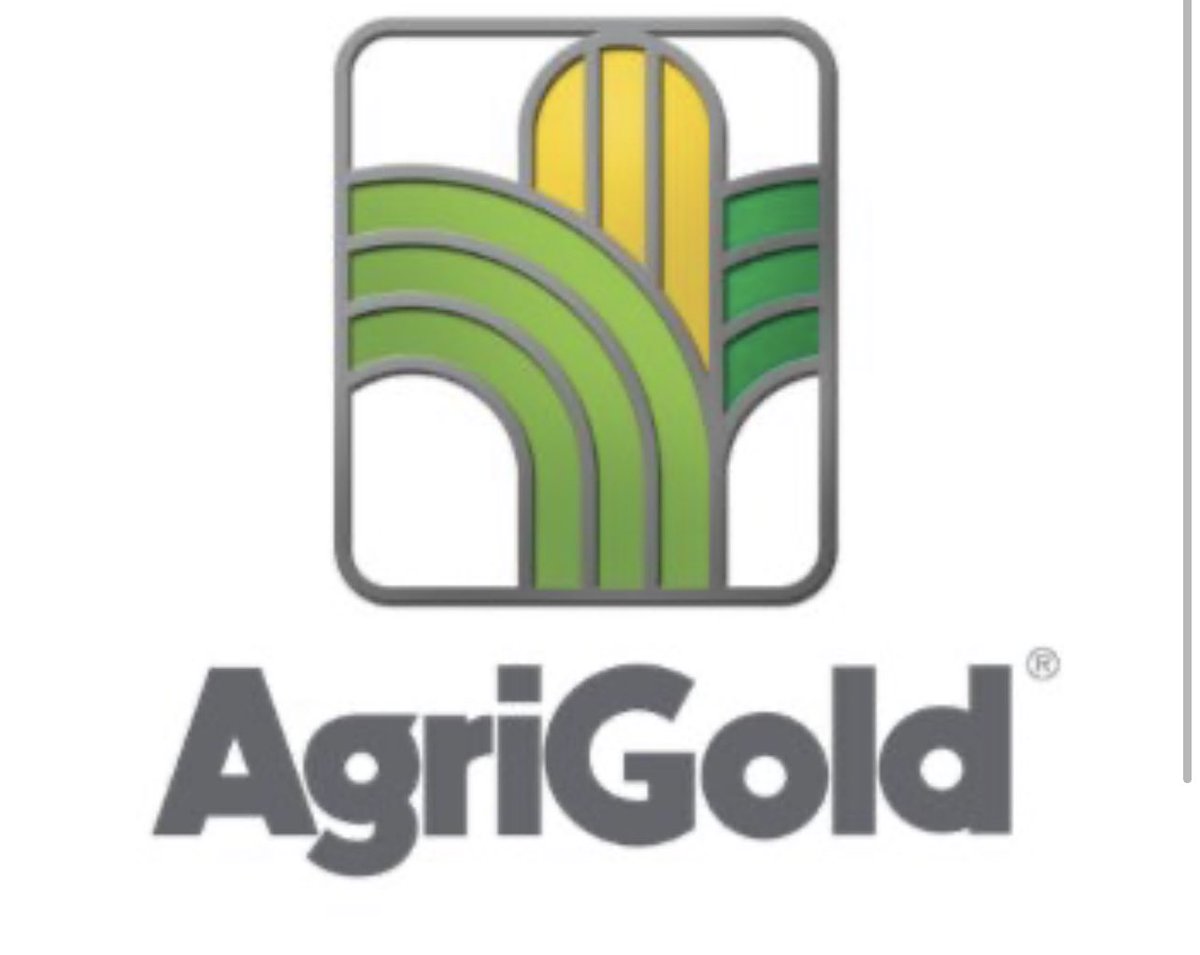 Agronomist_Whit's tweet photo. Our AgriGold team is looking for a new Agronomist in West Central IL. We are looking for an agronomist passionate about supporting sales people, building farmer relationships and helping our business grow! DM me with any ?s. More info: https://t.co/U222558AVA! 🌱🌽 #LetsTalkSeed https://t.co/tFSD6TwQaE