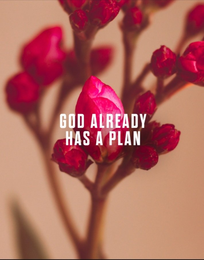 RiseChurchDET's tweet photo. Do you ever wonder what God's plan is for your life? Did you know God knew you before your parents knew about you and that he already had a plan and purpose over your life? Get connected with God and find out what your purpose or plan is so that you may be a light to others! https://t.co/YqRk4VSEsz
