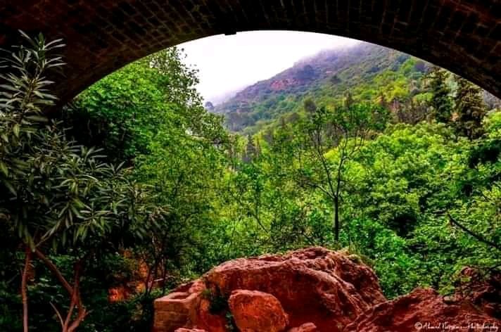 Urkueen's tweet photo. Ourit Tlemcen, Algéria https://t.co/SZm4so0x7W
