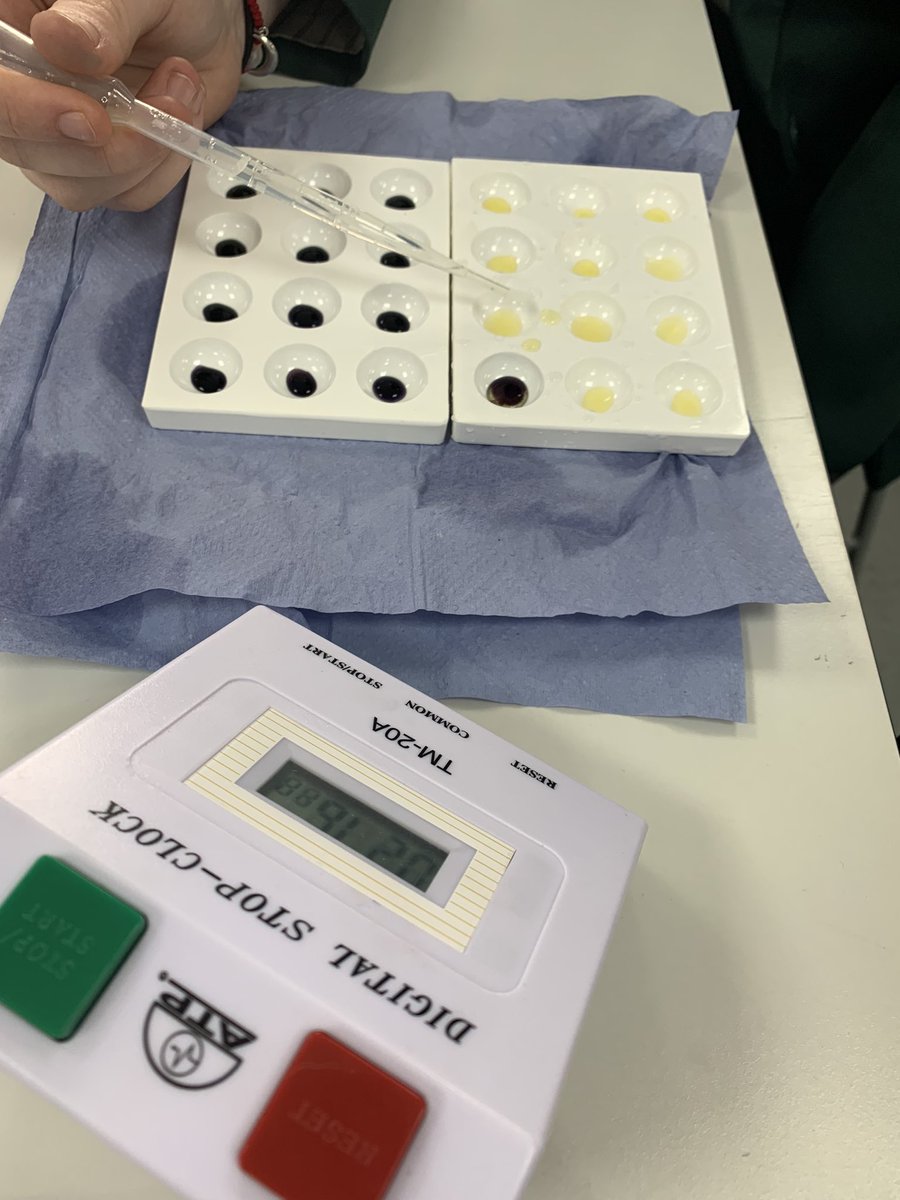 Eddies_Science's tweet photo. 10SS carried out some fantastic practical work this week, investigating the optimum pH for the enzyme amylase to break down starch. Great work from everyone! 👩‍🔬 👨‍🔬 🥼 🧪 https://t.co/8GhfS16Mek