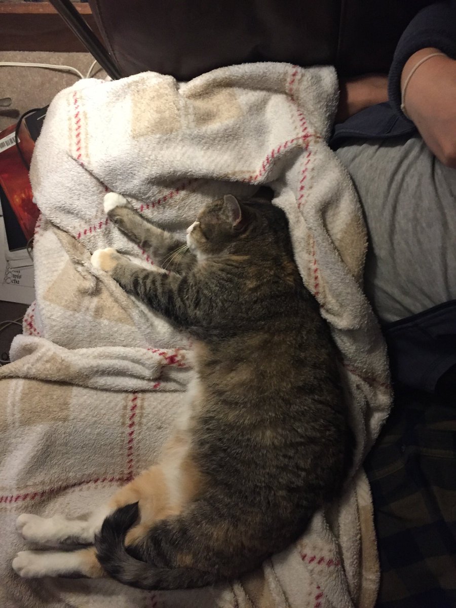 NonstopEmma's tweet photo. @Dr_Savage_Sci Not sure if ours can bind cooperatively with another cat, but can definitely bind two humans cooperatively! Look at how these two active sites are both completely bound! https://t.co/90q8wtSfOF