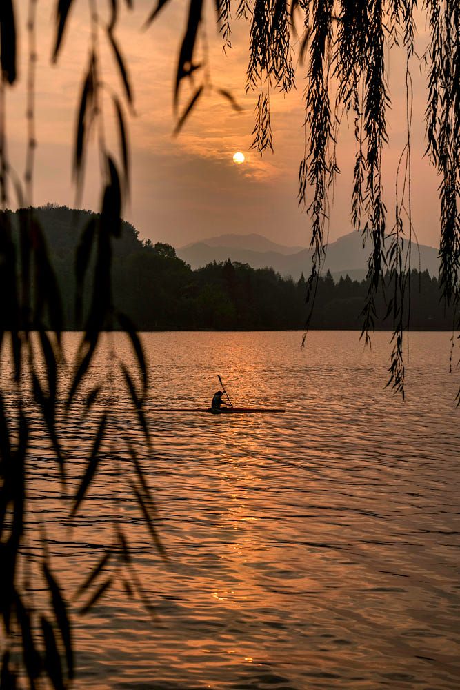 Kristal38922455's tweet photo. Good Evening ✨🌙

#NaturePhotography https://t.co/L2U6zkJVtI