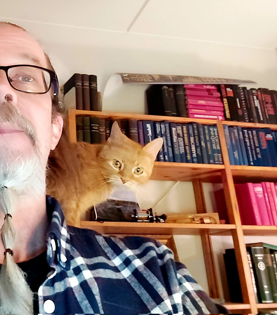 PaavotheC's tweet photo. Time for a break! #Teams meetings suck. Just supervising here. #CatsOfTwitter #distantwork #SuperSeniorCatsClub https://t.co/mVEglcrfSG