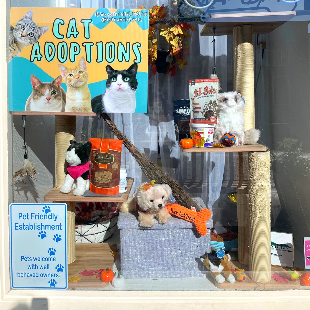 pettobox's tweet photo. Shop around your local stores for gifts this season 🎁 You can grab CATBUZZ from @waggintailslosaltos 🐈 🐕

#waggintails #giftideas #thanksgiving #holidays #catbuzz #petsupplies #losaltos #bayarea #cat #cats #catnip #shopsmall #shoplocal #supportsmallbusiness https://t.co/VxoINyoSqW