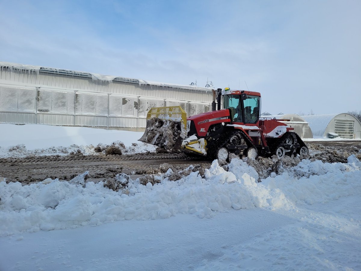 Kendal Roehle tweet media