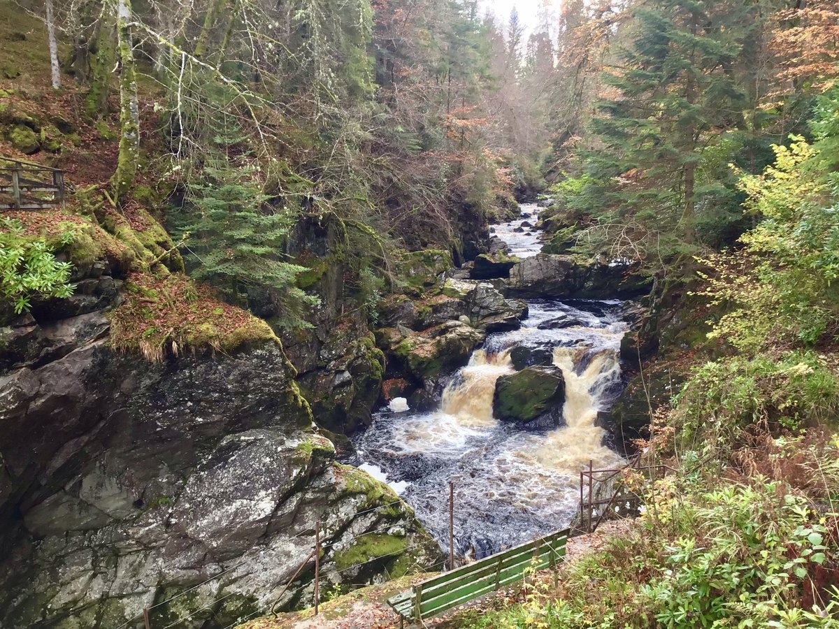 TheMackTrails's tweet photo. Cascades of #Autumn colours whilst #Walking along the banks of the rivers #Divie and #Findhorn on our walk to and from the ruin of #DunphailCastle yesterday … 😀
#Hiking #Moray #Forres #LogieSteading #Scotland https://t.co/mhaVuSSR9b