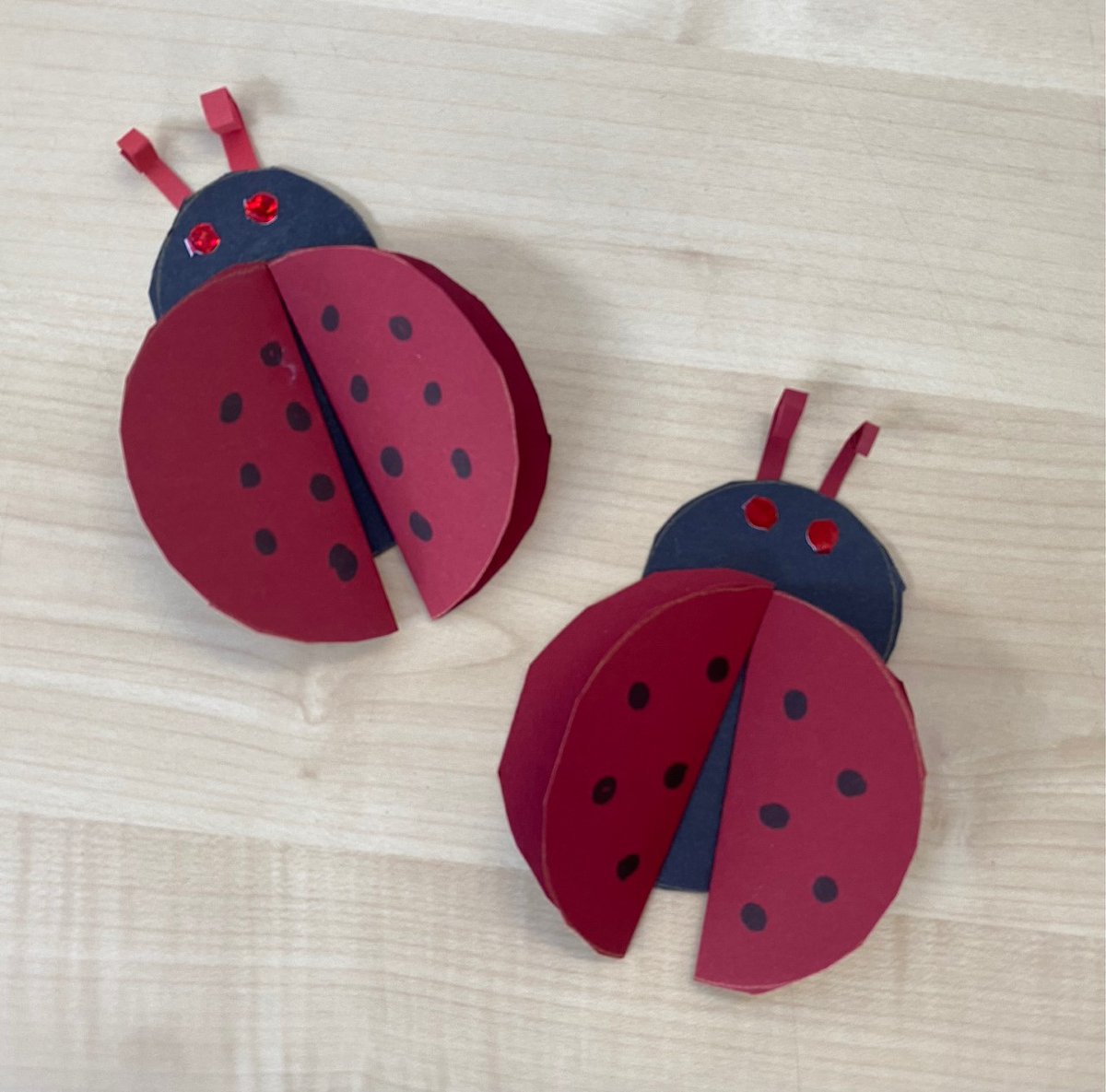 PortyLibrary's tweet photo. It's Friday, it's 12pm and that means it's time for another of Jay from Porty Library's Quick Crafts!
This week she's making some fabby #papercraft ladybirds (or ladybugs if you prefer ππ)
Join us next week for more simple #QuickCrafts!
https://t.co/vbJgU4nsb5 https://t.co/PVl7Lr7z84