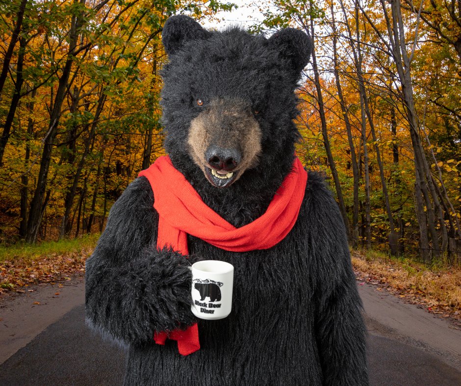 BlackBearDiner's tweet photo. Us bears are feeling red! #HappyRedDay #RedTaylorsVersion #TaylorSwift https://t.co/qfSL4IsP4L