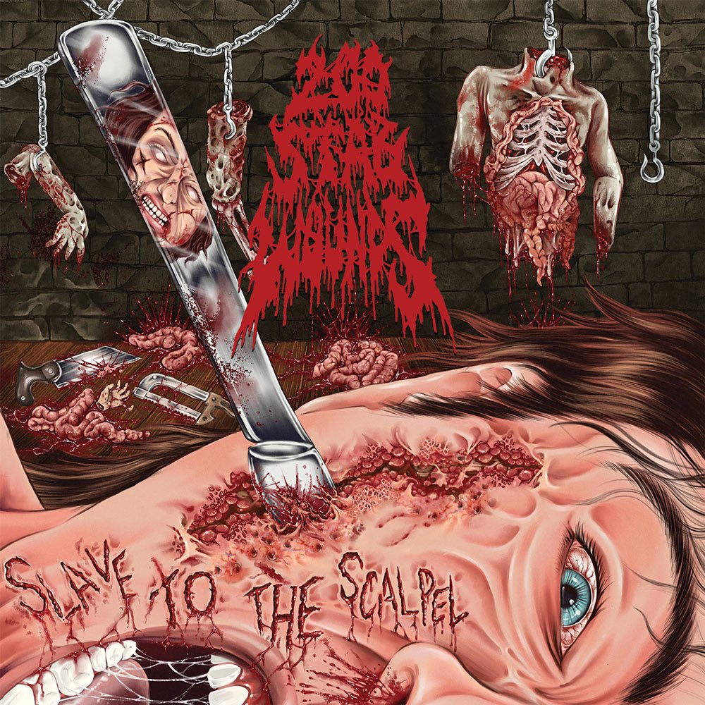 200StabWounds's tweet photo. SLAVE TO THE SCALPEL is out everywhere today. Which song is your favorite 🔪 https://t.co/rPMTwH5Y7W