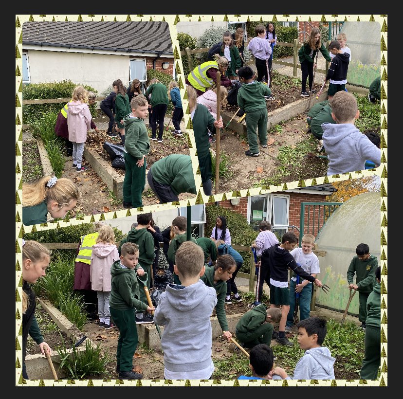 Wow, my Apple class have been working extremely hard out in the allotment. They have preparing the plots for gardening. We have a list of the things we would like to grow. Spring bulbs are first on the list. <a href="/GreenwaysPri/">Greenways Primary</a> #outdoorlearning #teamwork